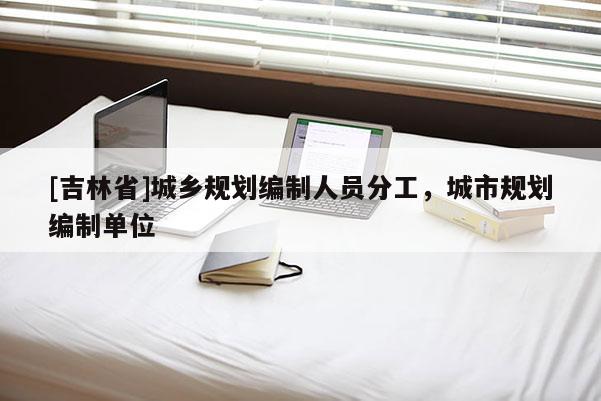 [吉林省]城乡规划编制人员分工，城市规划编制单位