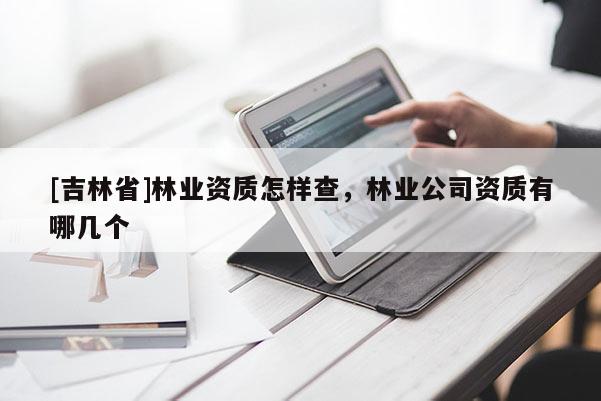 [吉林省]林业资质怎样查，林业公司资质有哪几个