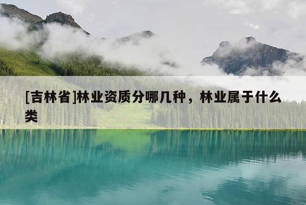 [吉林省]林业资质分哪几种，林业属于什么类