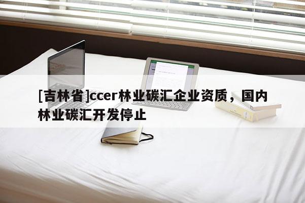 [吉林省]ccer林业碳汇企业资质，国内林业碳汇开发停止