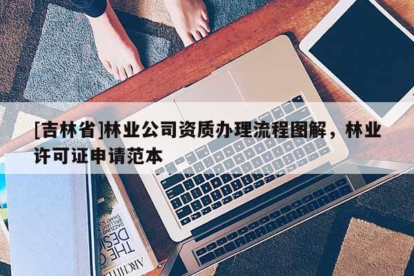 [吉林省]林业公司资质办理流程图解，林业许可证申请范本