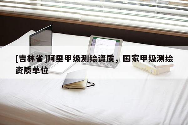 [吉林省]阿里甲级测绘资质，国家甲级测绘资质单位