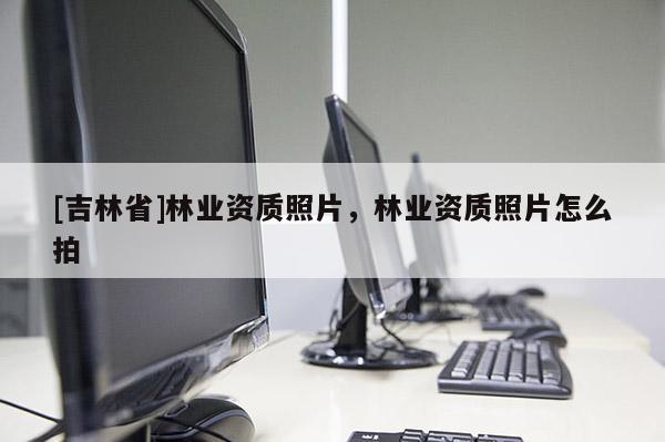 [吉林省]林业资质照片，林业资质照片怎么拍