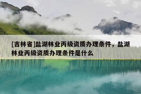 [吉林省]盐湖林业丙级资质办理条件，盐湖林业丙级资质办理条件是什么