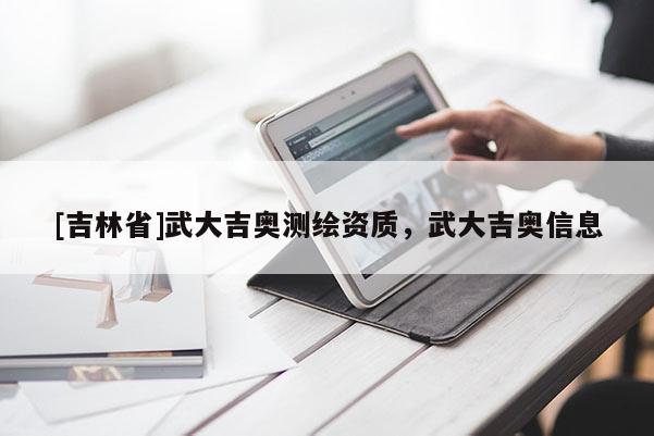 [吉林省]武大吉奥测绘资质，武大吉奥信息