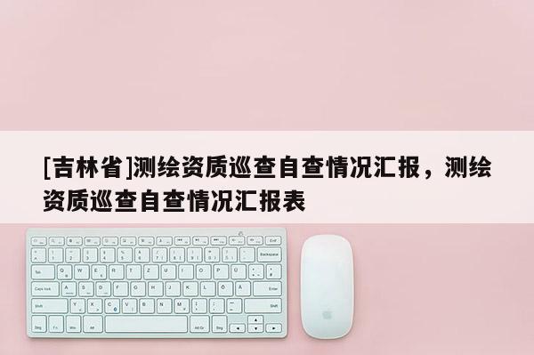 [吉林省]测绘资质巡查自查情况汇报，测绘资质巡查自查情况汇报表