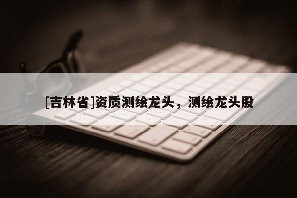 [吉林省]资质测绘龙头，测绘龙头股