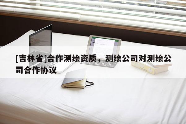 [吉林省]合作测绘资质，测绘公司对测绘公司合作协议