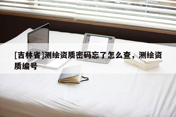[吉林省]测绘资质密码忘了怎么查，测绘资质编号